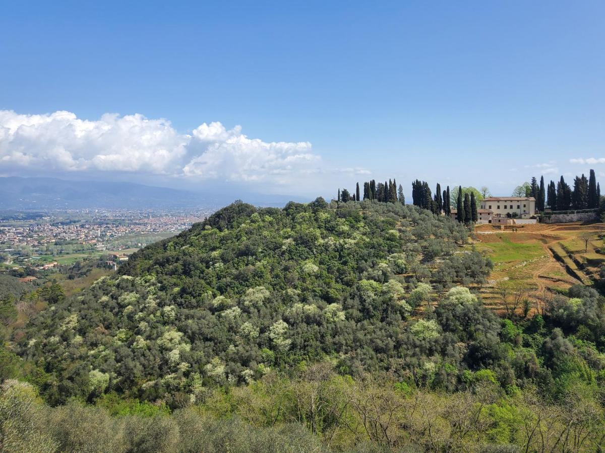 Villetta Farfallina "The Unique Property In The World With An Openable Roof" ลุคคา ภายนอก รูปภาพ